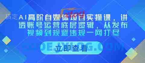 AI高阶自媒体项目实操课,讲透账号运营底层逻辑,从发布视频到规避违规一网打尽 AI高阶自媒体项目实操课,讲透账号运营底层逻辑,从发布视频到规避违规一网打尽