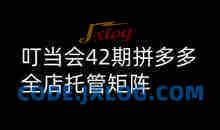 叮当会拼多多打爆班原创高阶技术第42期，拼多多全店托管矩阵