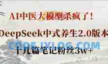 AI中医大模型杀疯了！DeepSeek中式养生2.0版本，十几篇笔记粉丝3w+
