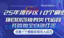 25年推荐这10个副业项目包含褂鸡类、代运营托管类、全自动打金类【揭秘】