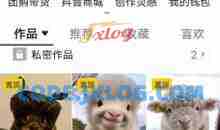 抖音65W博主AI萌宠课程，新赛道流量大，原创+二创全套课程+提示词