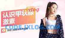 修贤放纵减肥法84天