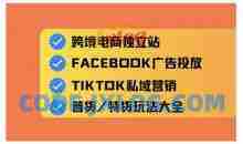 跨境电商独立站及全域流量营销，从0基础快速入门并精通跨境电商运营