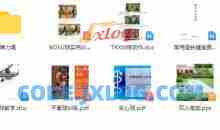 功能性健身 健身锻炼