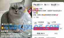 AI技术让动物“开口说话”全程手机操作涨粉10W+，小白轻松上手