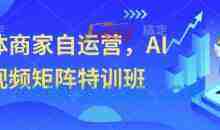 实体商家自运营，AI短视频矩阵特训班