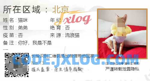 流浪猫流浪狗领养源码