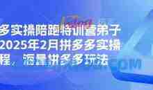 拼多多实操陪跑特训营弟子班，2025年2月拼多多实操课程，海量拼多多玩法