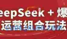 DeepSeek+爆品运营组合玩法，2025淘系精品课