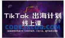 TikTok跨境电商新手起号与运营全攻略，0基础做跨境电商TIKTOK新手起号，小店入驻，操作指南全流程