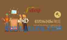 招投标国际规范 采购管理