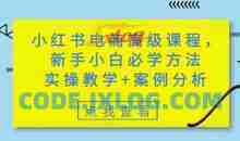 小红书电商高级课程，新手小白必学方法，实操教学+案例分析