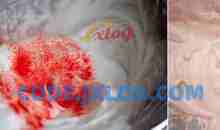 世界顶级烘培配方珍贵文档