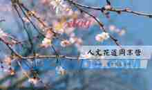 谷雨老师《人文花道美学营》插花教程