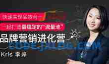 Kris李婷《品牌营销进化营》快速实现品效合一