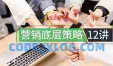 程瑞芳：营销底层策略12讲