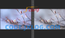 梅花四摄，梅花摄影技巧与后期，主讲：葛宏军老师