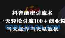 抖音绝密引流术，一天轻松引流100+创业粉，当天操作当天见效果