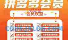 2025拼多多运营实战课，40节全流程教学，覆盖拼多多运营全链路