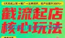 淘宝截流快速起店玩法，掌握暴力快速起店的流程，5天完成上架-推广-出单闭环