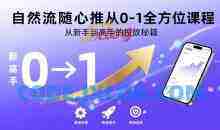 自然流随心推从0-1全方位课程，从新手到高手的投放秘籍
