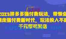 2025拼多多强付费玩法，带领全网走强付费新时代，玩法投入不超千元即可起店