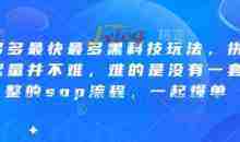 波仔电商-拼多多最快最多黑科技玩法，拼多多起量并不难，难的是没有一套完整的sop流程，一起爆单（更新6月）