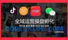 Ladyboss全域运营操盘孵化IP打造，高效 简单 AIGC SEO SOP