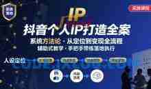抖音个人IP系统落地实操大课，实操课程，辅助落地
