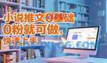 小说推文0基础入门教程，0粉就可做，快速上手