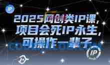 2025网创类IP课，项目会死IP永生可操作一辈子
