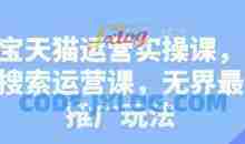 淘宝天猫运营实操课，新品搜索运营课，无界最新推广玩法