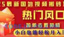 2025最新视频搬砖项目，热门风口，简单去重剪辑，小白也能轻松月入过W