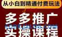 拼多多推广实操课程，从小白到精通付费玩法