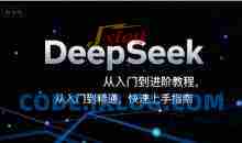 DeepSeek从入门到进阶教程，从入门到精通，快速上手指南