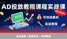 李亚老师·AD投放教程课程实战课，实现广告ROI300%+可持续暴利