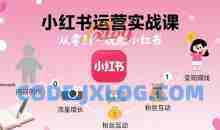 小红书运营实战课，从零到一玩賺小红书