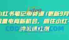 张宾小红书笔记带货课(更新25年3月)流量电商新机会，抓住小红书的流量红利