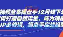 短视频全案操盘手12月线下课，如何打通自然流量，成为现象级IP必修课，操盘手实战经验