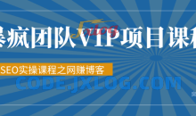 暴疯团队VIP赚钱项目教程之（SEO实操课程之网赚博客）