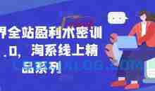 无界全站盈利术密训22.0，淘系线上精品系列