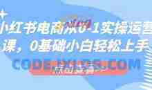 小红书电商从0-1实操运营课，0基础小白轻松上手