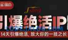 引爆绝活IP训练营14天引爆绝活，放大你的一技之长