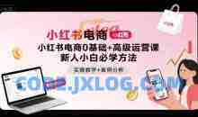 小红书电商0基础+高级运营课，新人小白必学方法，实操教学+案例分析