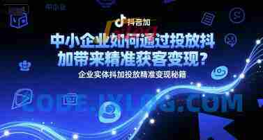 中小企业如何通过投放抖加带来精准获客变现?企业实体抖加投放精准变现秘籍 中小企业如何通过投放抖加带来精准获客变现?企业实体抖加投放精准变现秘籍