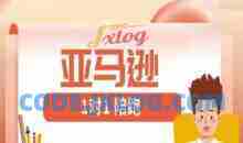 亚马逊1对1陪跑课(FBA/FBM精铺)跨境亚马逊教程