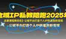 全域IP私教陪跑2025年，这套课程教你在公域平台打造个人IP快速涨粉变现