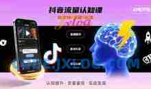 文涛老师-抖音流量认知课，短视频+直播+私域，认知提升，闪电开悟