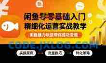 闲鱼零基础入门精细化运营实战教学，闲鱼暴力玩法带你成功变现
