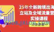 25年全新跨境出海独立站及全域流量营销实操课程，跨境电商独立站TIKTOK全域营销普货特货玩法大全